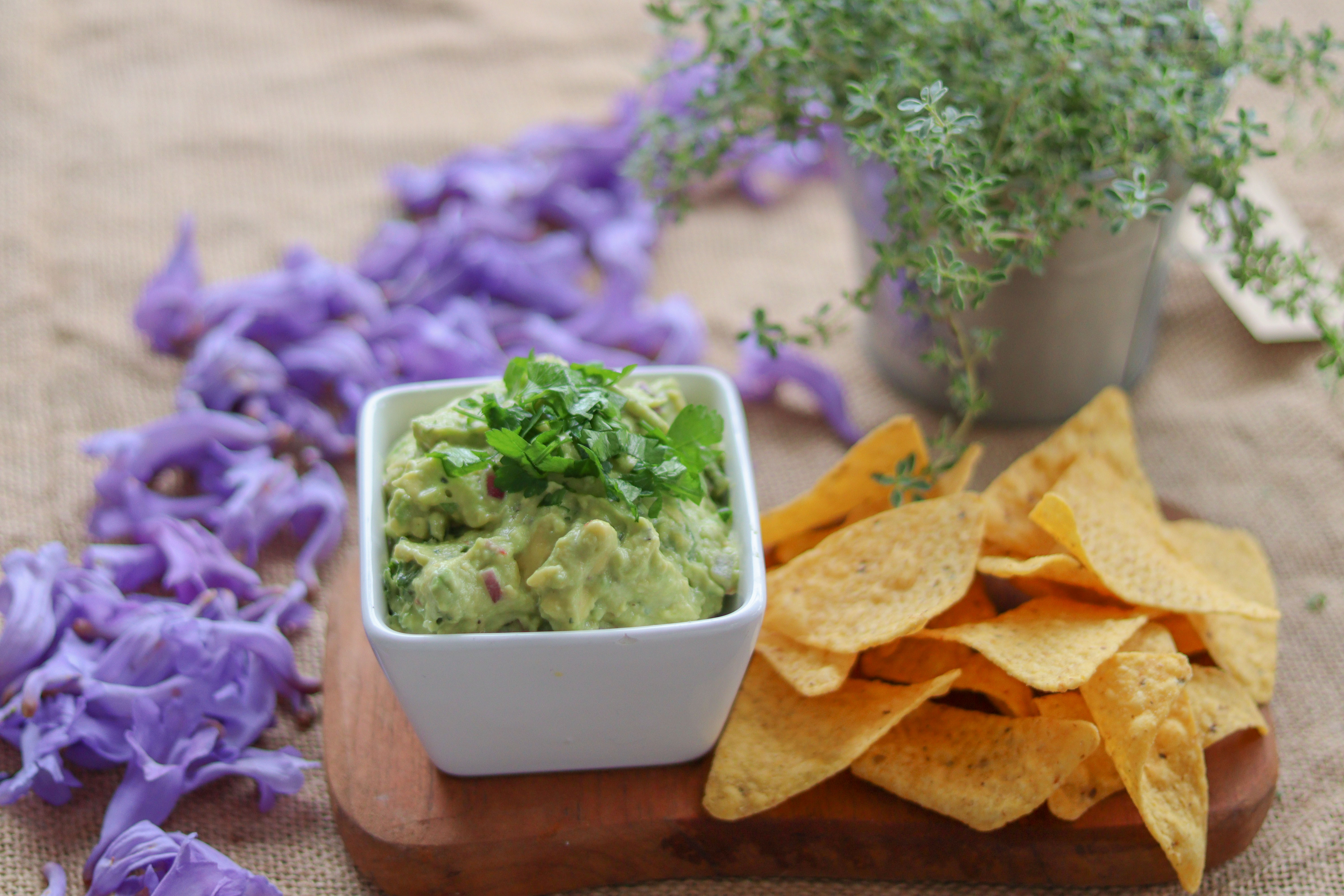 Learning Garden Kitchen