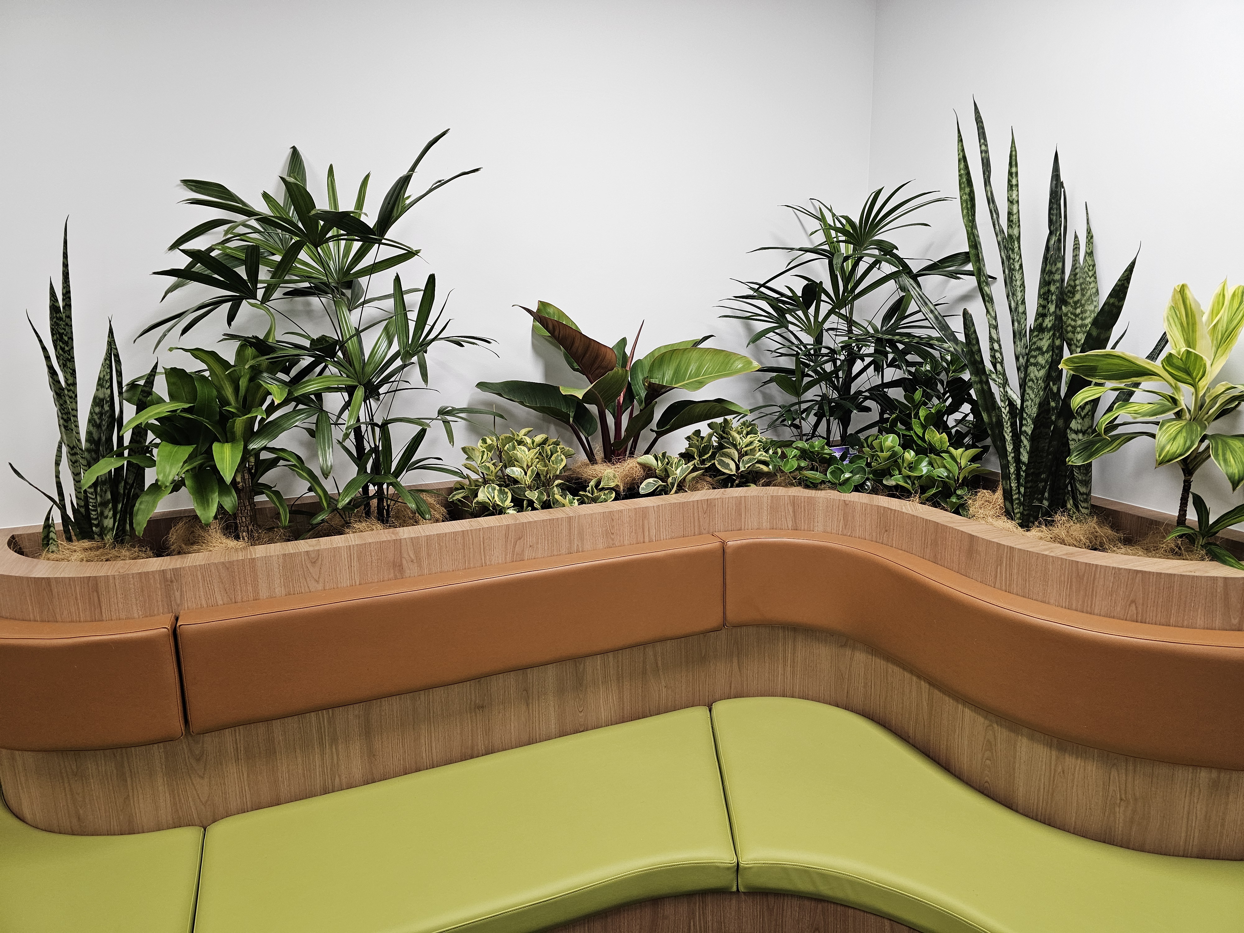 Indoor Plant Hire